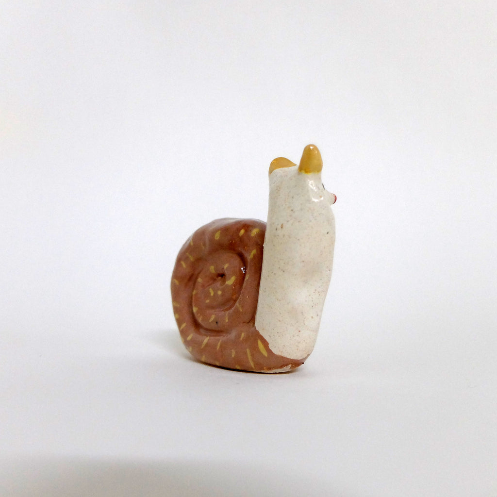 CARACOL