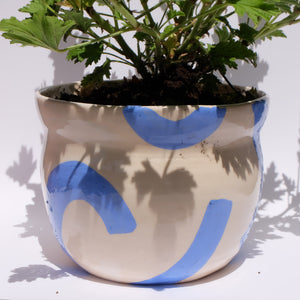 Maceta “Brisa Azul” con planta antimosquitos (Citronela)