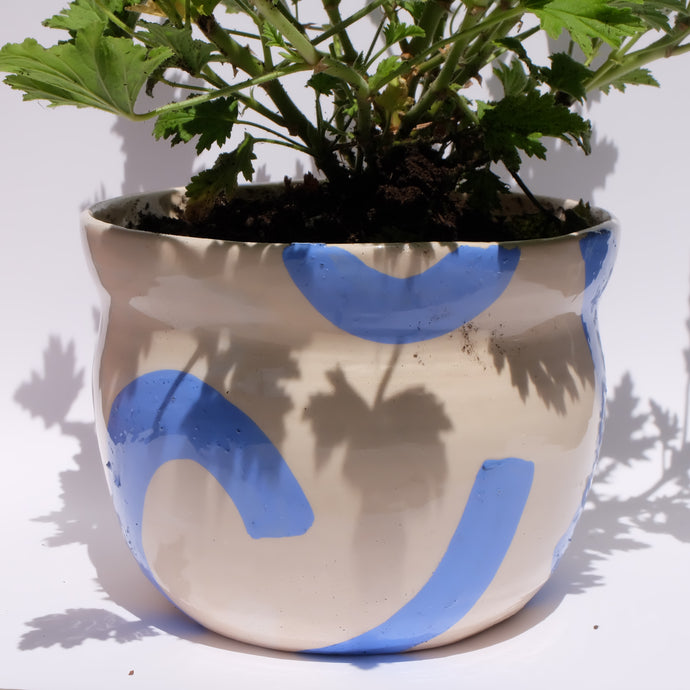 Maceta “Brisa Azul” con planta antimosquitos (Citronela)